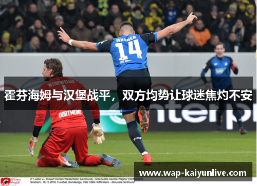 霍芬海姆与汉堡战平，双方均势让球迷焦灼不安