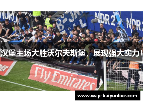 汉堡主场大胜沃尔夫斯堡，展现强大实力！