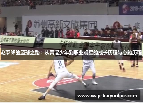 赵泰隆的篮球之路：从青涩少年到职业明星的成长历程与心路历程